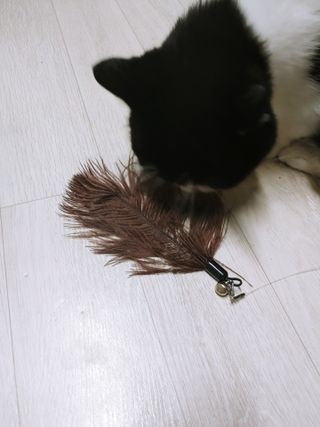 고고고님이 올린 리뷰 사진 3