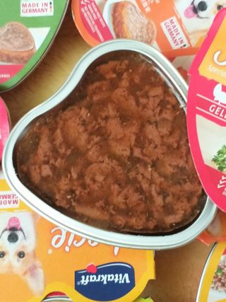 비타크래프트 조에시 하트캔 85g 강아지 습식캔 10캔 — 5점을 준 리뷰어가 2021년 7월 올린 사용 사진