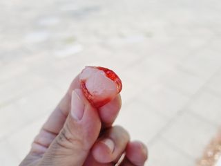 오나오나님이 올린 리뷰 사진 2