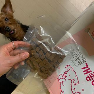 My Pet Care 천연단백질 관절건강에 개좋아 — 5점을 준 리뷰어가 2021년 1월 올린 사용 사진