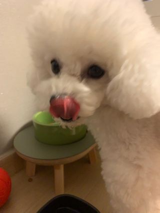 옥슈슈님이 올린 리뷰 사진 2