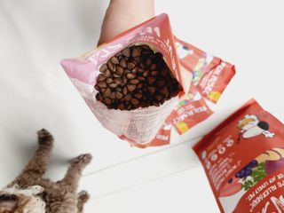 [푸디웜] 라포그  리얼인섹트 관절 저알러지 강아지 사료  1.2KG — 5점을 준 리뷰어가 2022년 8월 올린 사용 사진