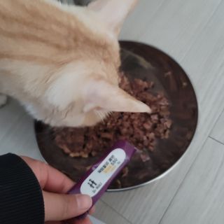 이째님이 올린 리뷰 사진 3