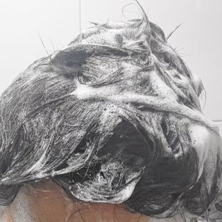 닥터시드 티트리 앤 라임 비건 지성케어 쿨 탈모 샴푸 (1000ml) — 5점을 준 리뷰어가 2023년 12월 올린 사용 사진