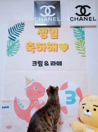 효니님이 올린 리뷰 사진 1
