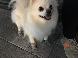 도모아빠님이 올린 리뷰 사진 4