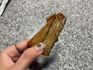 지구님이 올린 리뷰 사진 2
