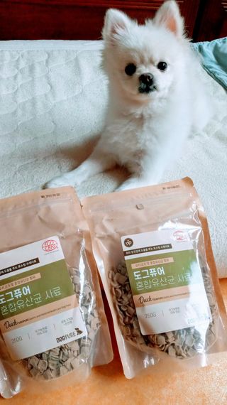 도그퓨어 피부와모질/혼합유산균/글루코사민 유기농 로스팅 사료 — 5점을 준 리뷰어가 2021년 9월 올린 사용 사진
