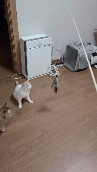 으나님이 올린 리뷰 사진 1