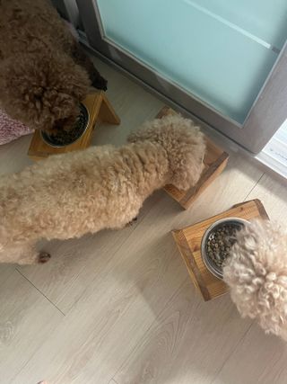 숙블리님이 올린 리뷰 사진 1