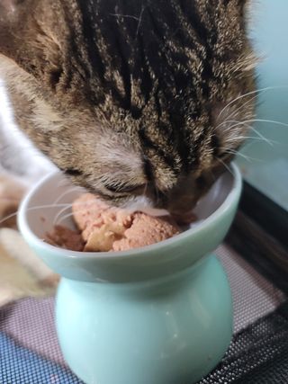 오남매맘님이 올린 리뷰 사진 4