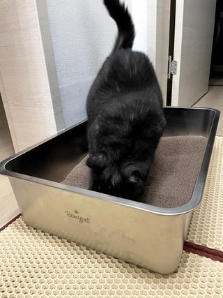 아라쭈님이 올린 리뷰 사진 3