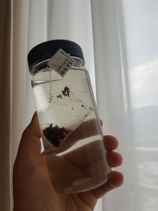 어쩌다발견한오늘님이 올린 리뷰 사진 3