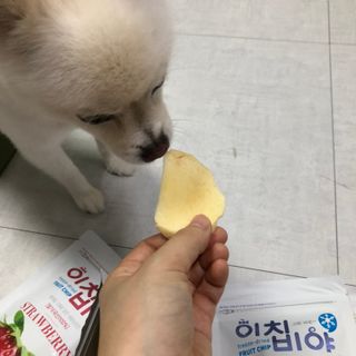 여름님이 올린 리뷰 사진 4