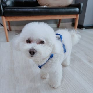 우주님이 올린 리뷰 사진 1
