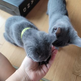 서빵맘님이 올린 리뷰 사진 3