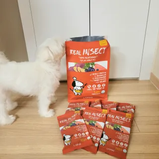 [푸디웜] 라포그  리얼인섹트 관절 저알러지 강아지 사료  1.2KG — 5점을 준 리뷰어가 2022년 8월 올린 사용 사진