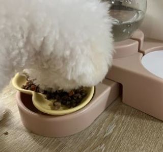 윤짱구님이 올린 리뷰 사진 3