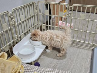 쌤님이 올린 리뷰 사진 1