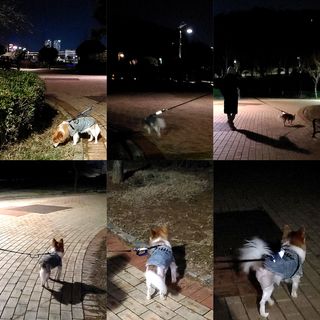 림림님이 올린 리뷰 사진 2