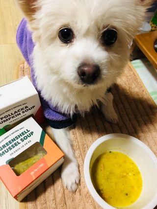 베이컨박스 [BACON] 강아지 수제간식 간편 동결건조 스튜 2종 - 황태, 초록 홍합 — 4.5점을 준 리뷰어가 2021년 1월 올린 사용 사진