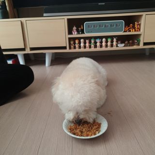 민동2님이 올린 리뷰 사진 3