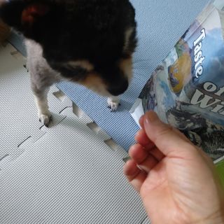 복도리님이 올린 리뷰 사진 4