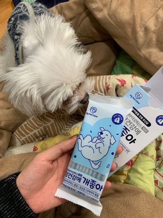 대바기님이 올린 리뷰 사진 1