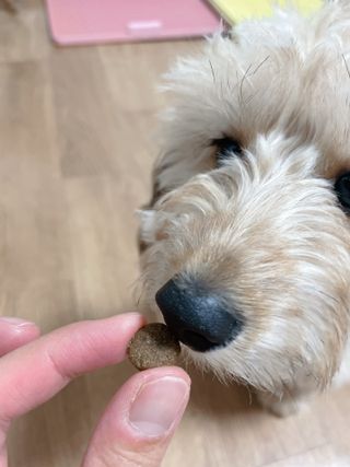 연쨩님이 올린 리뷰 사진 3