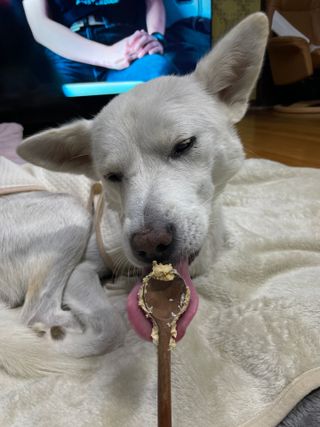 Jenny님이 올린 리뷰 사진 3