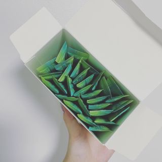 네그로니님이 올린 리뷰 사진 4