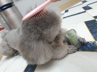 디카페인님이 올린 리뷰 사진 1