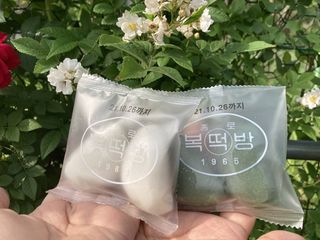 초비야님이 올린 리뷰 사진 4