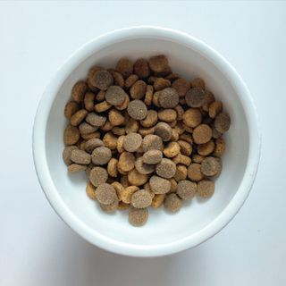 torius님이 올린 리뷰 사진 1