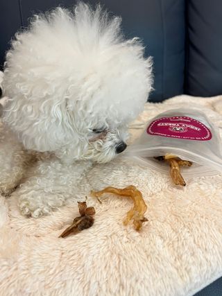 큐티윤님이 올린 리뷰 사진 2