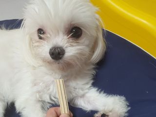꽁아님이 올린 리뷰 사진 3