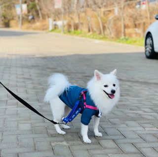 써니곰님이 올린 리뷰 사진 1
