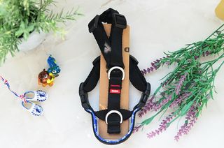 JAY님이 올린 리뷰 사진 3