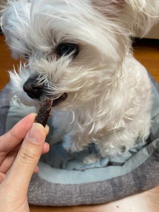 유정오님이 올린 리뷰 사진 3