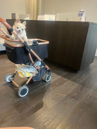 Lucy님이 올린 리뷰 사진 2