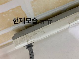 징징님이 올린 리뷰 사진 2