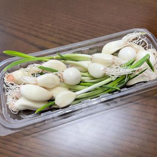 뉴걸님이 올린 리뷰 사진 2