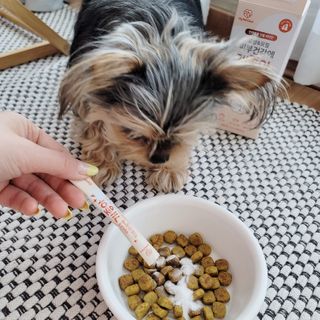My Pet Care 모발과 모질 피부건강에 개좋아 — 5점을 준 리뷰어가 2021년 2월 올린 사용 사진