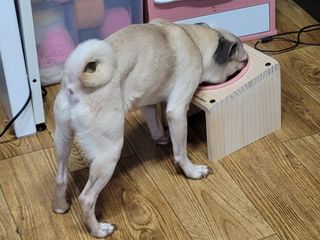 상상씨님이 올린 리뷰 사진 3