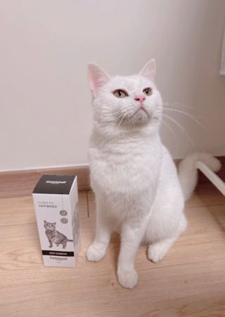 논논님이 올린 리뷰 사진 1