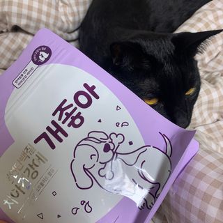 My Pet Care 천연단백질 치아건강에 개좋아 — 2.5점을 준 리뷰어가 2021년 1월 올린 사용 사진