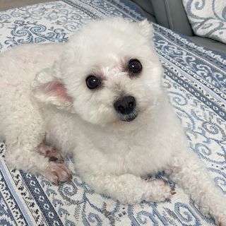 예나님이 올린 리뷰 사진 4