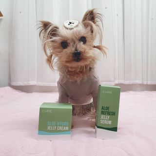 김정문알로에 큐어 큐어 알로에 리프레쉬 젤리 세럼, 큐어 알로에 하이드로 젤리 크림 — 5점을 준 리뷰어가 2021년 2월 올린 사용 사진