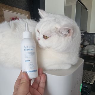 [댕모어 클리너 3종] 아이클리너 / 이어클리너 / 덴탈클리너 3종 세트 (120ml) — 5점을 준 리뷰어가 2023년 11월 올린 사용 사진