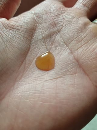 광동생활건강 나우 [광동] 배도라지 쌍화스틱 10mL x 100포 — 5점을 준 리뷰어가 2023년 12월 올린 사용 사진